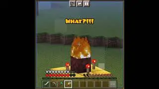 That's why we need to close creeper holes