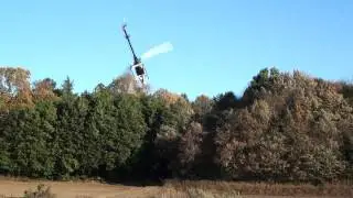 RC Heli Meeting in Tsukuba 2011 by taku