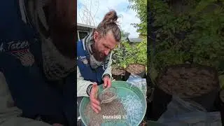 Флаконы с семенами для доставки #семена