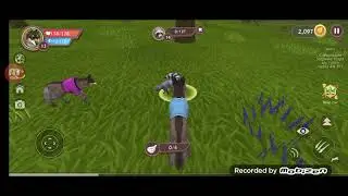 WildCraft Animal Sim Online 3D Android Gameplay part 4 драка волк кролик белка 