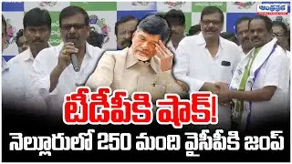 TDP Gets a Shock Mass Defection in Nellore! 250 Join YSRCP | Andhraprabha News