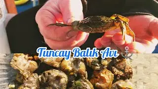 YENGEÇ NASIL YEM YAPILIR VE  İĞNEYE  NASIL TAKILIR ?