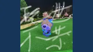 酸萝卜老鸭汤