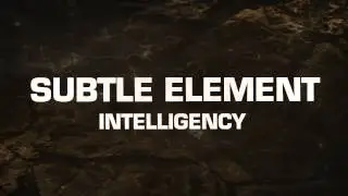 Subtle Element - Intelligency