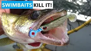 How to Catch Walleye Using Swimbaits