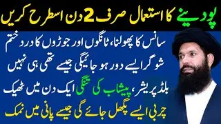Quotes About life | Rumi Quotes in Urdu | Motivational Islamic Quotes | Golden Words | Hazrat Ali
