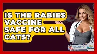 Is The Rabies Vaccine Safe For All Cats? - Ask A Pet Vet
