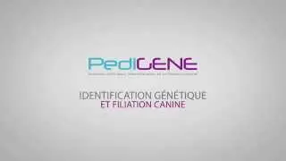 Test ADN pour chien - Identification ADN et filiation canine - PediGENE