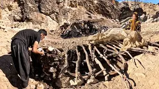 Lost Goats in Remote Mountains: Nomads Challenging for Survival
