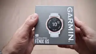 Garmin Fenix 6s pro