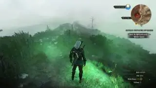 The Witcher 3 - Wild Hunt sign error fix (you cannot do that now)