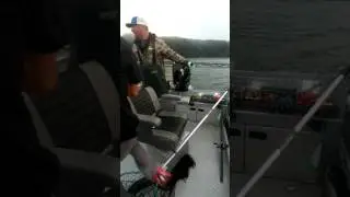 KCI fishing derby 2016 how to get salmon from seal
