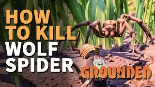 How to kill Wolf Spider Grounded Wolf Spider Location