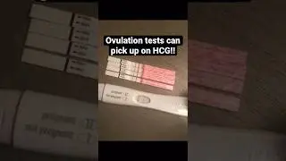 Ovulation test strips pick up on early pregnancy hormones!!