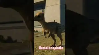 Cutest dinosaurs in Jurassic world evolution 2 🦕🦖