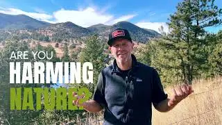Guide to #Cutting Your Own #Christmas Tree in #coloradomountains  | Watch Video