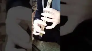 دقة مجوز