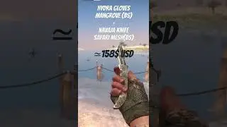 BEST CHEAP KNIVES/GLOVES COMBO (REALISTIC) #csgo #counterstrike2 #counterstrike