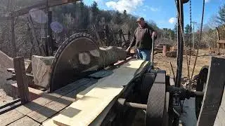 A Species We Have Never Sawed Before or Never Seen Sawed Before