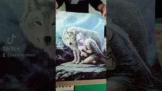 1000 Piece Jigsaw Puzzle PickUp Challenge #shorts #wednesday