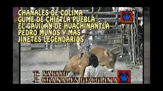 EL GAVILAN DE HUACHINANTLA PUEBLA,CHANALES DE COLIMA, GUME DE CHIETLA, PEDRO MUÑOZ JINETES LEYENDA