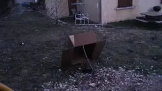 Sais s'est de attraper un lapin sauvage