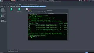 BurpSuite_pro_v2020.12.1