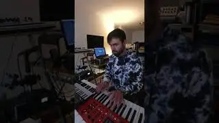 WONKY SNOW FALL - beat video