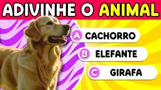 Quantos ANIMAIS Você Consegue Adivinhar? 🦁🐷 *Quiz de Animais* | Lua Quiz