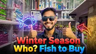 Thand ke season me kaun si ? 🤔 Fish leni chahiye #vlog #trending #viral #subscribe 