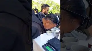 Coffee cupping 17 November 2025 #viralvideo #shorts #nepal #coffee #coffeewithnagendra  #ntcdbpkr 