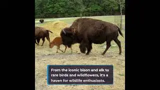 Tallgrass Prairie National Preserve, Kansas