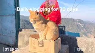A day in my life | daily uploading vlog for 30 days | day 11 | 