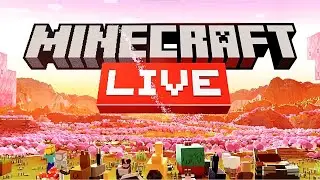rukmehtab live in minecraft #3