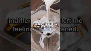 MOST Unexpected LOVE STORY !! 😱😭😍 Reddit Relax 💜 Reddit Story 🧡