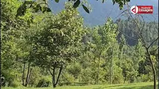 #Watch: Visuals from the Akhal Devsar  Kulgam. Gunfight.  
