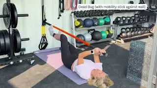 Dead Bug with mobility stick against wall