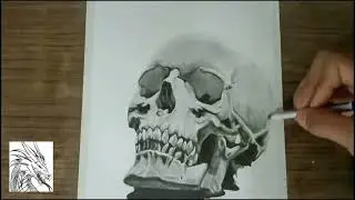 Realistic human skull drawing 💀 pencil drawing
