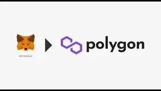 Como conectar na rede da Polygon - Matic - na Metamask