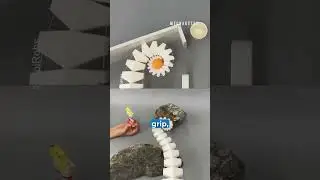 This Robot Arm Has Octopus-Like Agility! 🎥: SpiRobs (Zhanchi Wang) / YT . . . . . . . . . . [r