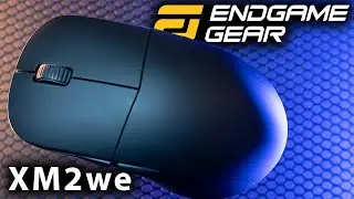 BEST BANG FOR THE BUG? - ENDGAME GEAR XM2we