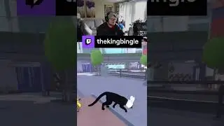 Rabbit and Axolotl Hats - Little Kitty Big City  | thekingbingle on #Twitch