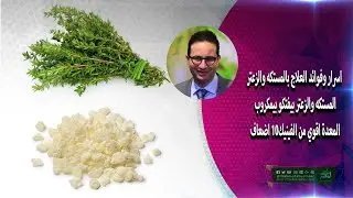 اسرار وفوائد العلاج بالمستكه والزعتر - المستكه والزعتر بيفتكو بيمكروب المعدة اقوي من الفينيك10 اضعاف