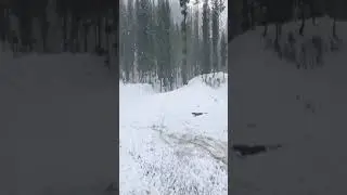 Heavy Snow Falling in Kalam Valley | Swat  Pakistan | Umer Tv