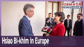 Hsiao Bi-khim meets Czech Senate speaker during Europe visit｜Taiwan News