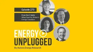 EP. 273 - From the C-Suite: What Next for Britain’s Energy Transition