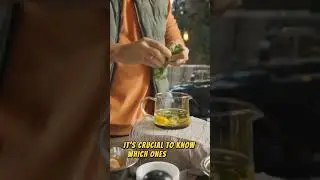 🛑 Final Warning: The Hidden Dangers of Popular Herbal Teas! 🍵