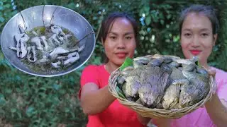 Easy Crispy Frog in oil Recipe/ How to cook simple crispy frog in my village