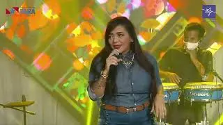 PROJETO – SÓ TOCA BREGA – CANTORA MICHELLE AMADHOR