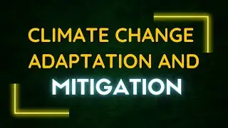 How to mitigate and adapt to Climate Change